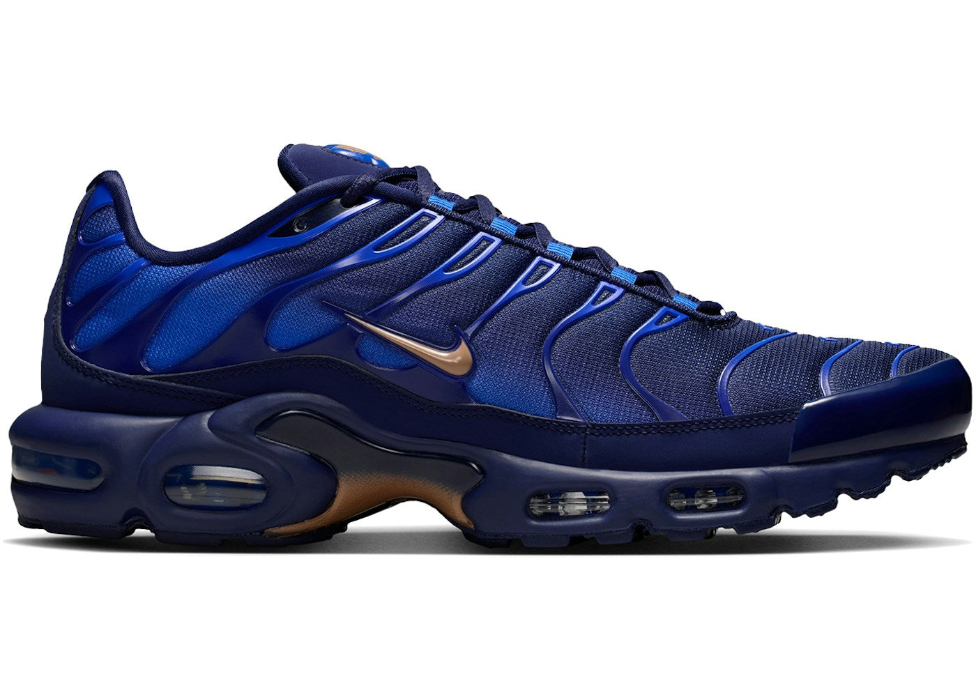 Nike Air Max Plus French Football Federation